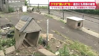 「キューンと犬の声がして外を見たらクマが」3匹襲われ1匹死ぬ 過去にも同様被害 同じクマかDNA調査 (21/06/28 20:00)