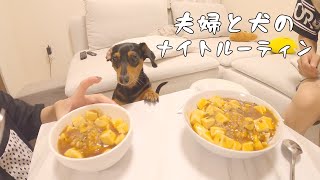 小型犬と暮らす夫婦のまったりナイトルーティン