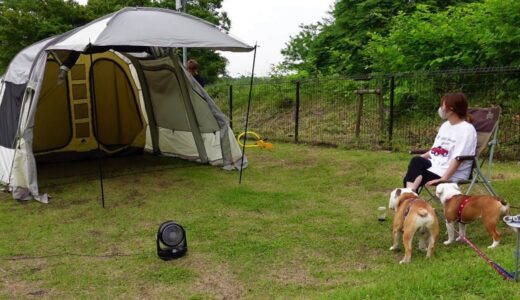 日本一だらしない犬と飼い主がキャンプした結果はこちら…