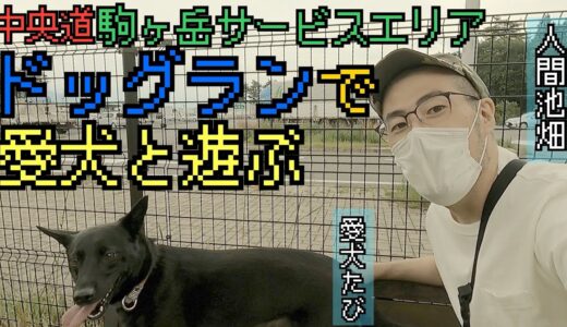 人間池畑と愛犬たび、無人無犬のドッグランを疾駆する