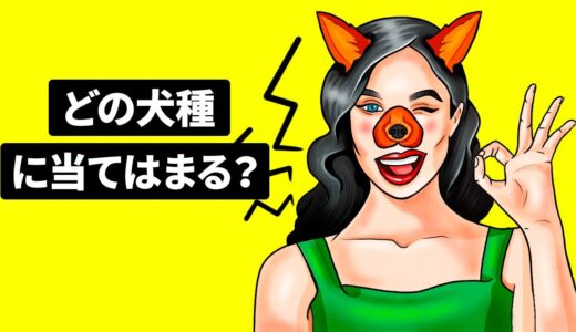 どの犬種に当てはまる？性格テスト！