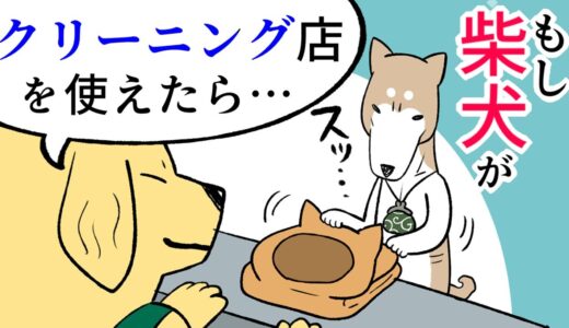 【犬まんが】もし柴犬が『クリーニング店』を換毛期に使えたら？