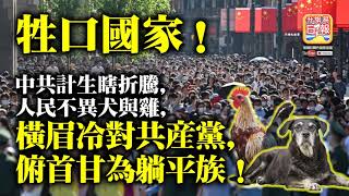 6.9 【牲口國家！】中共計生瞎折騰，人民不異犬與雞，橫眉冷對共產黨，俯首甘為躺平族！