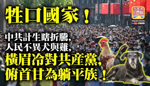 6.9 【牲口國家！】中共計生瞎折騰，人民不異犬與雞，橫眉冷對共產黨，俯首甘為躺平族！