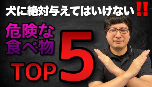 【犬が食べてはいけない食べ物ランキングTOP5】ペットショップ店長が思う、犬に危険な食べ物はコレ！