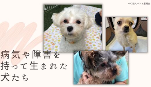 病気や障害を持って生まれた犬たち