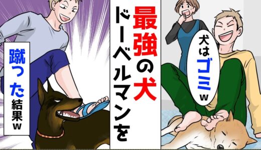 犬をゴミ扱いする最低な彼氏が、最強の犬ドーベルマンを蹴った結果ｗ