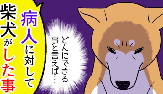 【犬まんが】病人に対して柴犬がした事は……