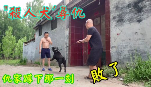 带“杀人犬”去寻仇，仇人蹲下的那一刻，是你要的结果吗