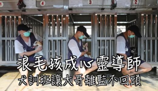 人生轉角浪毛孩成心靈導師　 新竹監獄監獄犬訓班讓大哥離監獄不回頭 #專訪  | 台灣新聞 Taiwan 蘋果新聞網