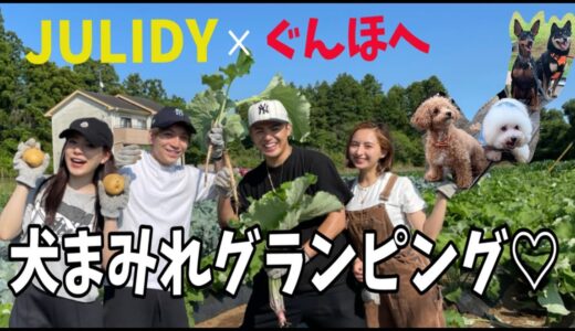 【JULIDY×ぐんほへ】1泊2日犬まみれグランピングが最高すぎ!!!!!!!