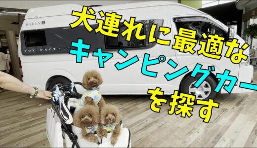 犬連れ目線のキャンピングカー選び【トイファクトリー BADEN】【トイプードル rosie】