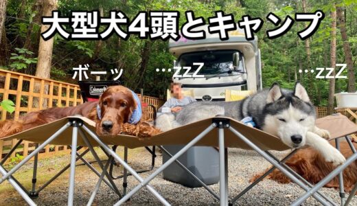 大型犬4頭とキャンプへ行くとこうなります。賑やかすぎるけど楽しい休日