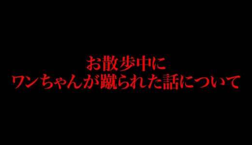 散歩中に犬が蹴られた話について