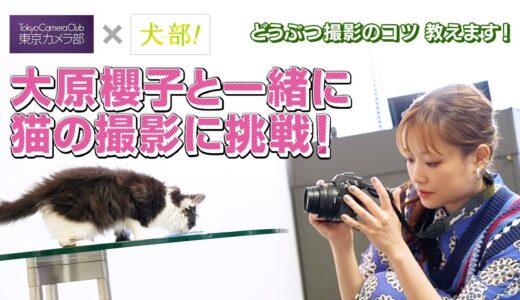 【東京カメラ部 × 映画『犬部！』コラボ特別企画】大原櫻子さんと一緒に動物の写真を上手に撮る方法を学ぼう！