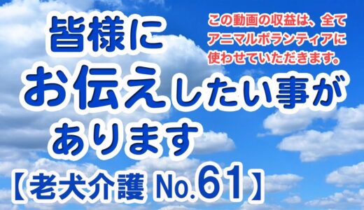 皆様にお伝えしたい事がございます【老犬介護No.61】