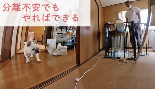 分離不安の犬がお留守番に慣れるまでの全記録