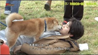 中川大志&林遣都、犬達との仲良しなコミュニケーション姿が癒される！ 映画『犬部!』メイキング映像