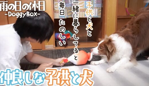 【絶妙な関係】子供と犬と一緒に暮らしてると毎日たのしい！雨の日でもご機嫌♪ 【DoggyBox 7月号】