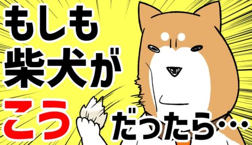 【犬猫まんが】もしも柴犬がこんなだったら面白い