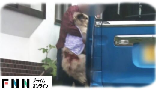 犬襲撃のクマに“前科”　DNAから過去判明