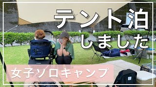 【ソロキャンプ女子】初めてのテント泊！犬と2度目のキャンプでテント泊に挑戦！