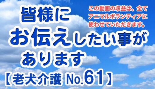 大場久美子【老犬介護No.61】