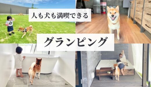 【三重旅】犬も満喫できるドッグランつきのグランピング施設が最高すぎた