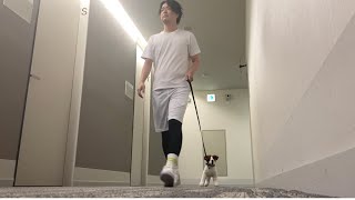 犬を飼い始めたシュウペイ