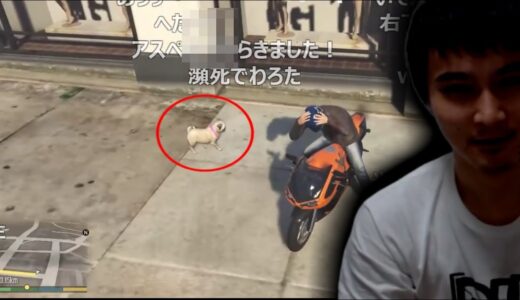 加藤純一、カワイイ犬が居るとある衝動に駆られてしまう【2021/07/15】