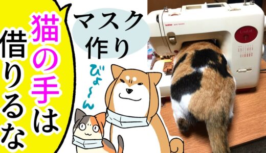 【犬猫まんが】マスク作りに猫の手は借りない方がいい