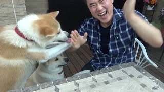 「好きな大型犬」ランキングベスト５！