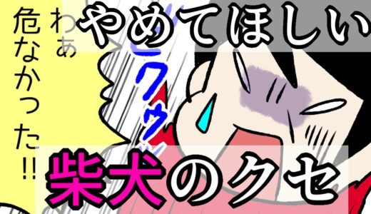 【犬まんが】柴犬に絶対にやめてほしい『危険なクセ』