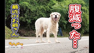 【犬】腹減った・・・！最近のお爺さん