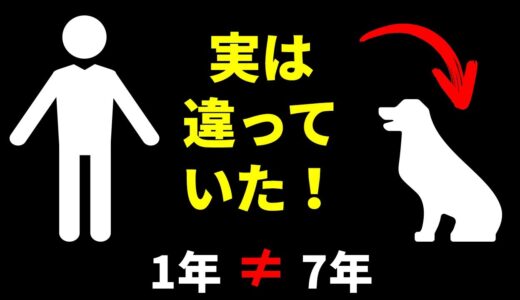 犬の1年は人間の7年じゃない！？実は間違っている14の犬にまつわる神話