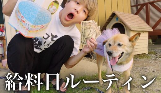 【給料日の過ごし方】犬と暮らすぼっち限界ニートの月に一度の贅沢