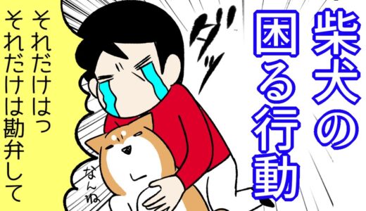 【犬まんが】この時期とくに！それだけは勘弁してほしいこと