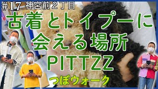 リーバイスとかわいい犬で、ワンダフルお洒落！  古着と激かわいいトイプーに会える奇跡の場所で、見たことないLEVI’S®︎に出会った！＃つぼウォーク