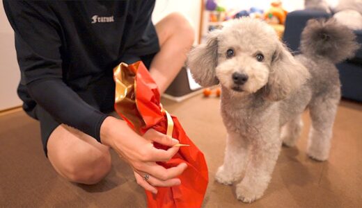 犬とアラサー男達の誕生日会の様子がカップルみたいで恥ずかしい。