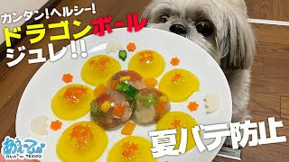 犬の誕生日にドラゴンボールジュレ作ったった【犬用レシピ】