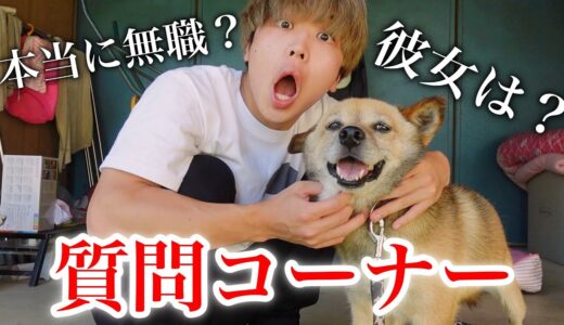 【祝20000人記念】犬と暮らすぼっち限界ニートの爆速質問コーナー