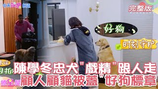 【撩星聞】被萌寵融化了!#陳學冬 忠犬”#戲精” 太愛#黃景瑜 直接”跟他走” 護主護幼貓妹妹 #戲仔 被眾人蓋”好狗標章” #做家務的男人3 ｜@中天娛樂頻道