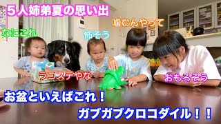 【犬と赤ちゃん】指を食われる赤ちゃんと心配するバーニーズマウンテンドッグ　 bernese mountain dog