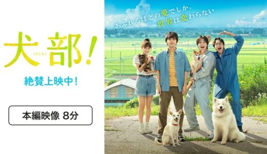 映画『犬部！』本編映像8分公開！【大ヒット公開中！】