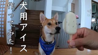 犬用アイスを作ってみた