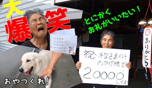 【ご登録者さま20000名！】犬に代わり感謝を込めてばあちゃんから全力のお礼！　ゴールデンレトリーバー　GoldenRetriever