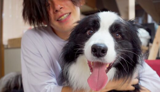 人嫌いな犬に人の温かさを教えた結果…！