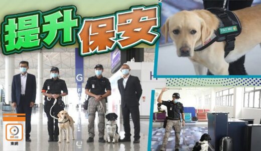 【on.cc東網】機管局首設搜索犬　身負巡查爆炸品任務兼旅客大使