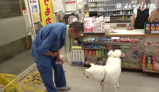 “レジ打ち動画”でブレーク！　酒店の看板犬・梅子の日常（５）閉店後のお楽しみ