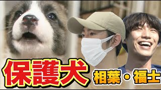 【保護犬】２４時間テレビの裏側！！相葉雅紀・福士蒼汰がドッグラン作り！